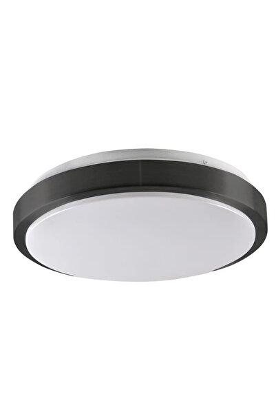 OEM Таванна лампа Benedykt, 2 x E27, 20 W, D33 см, черна