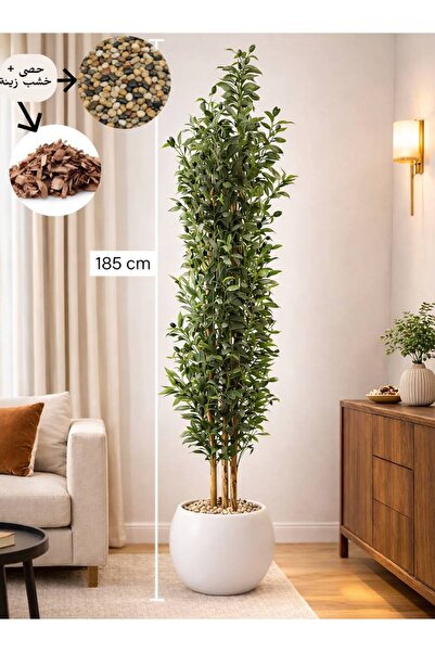 CENTRHOME An olive tree with three branches, 185 cm tall, in a round pot