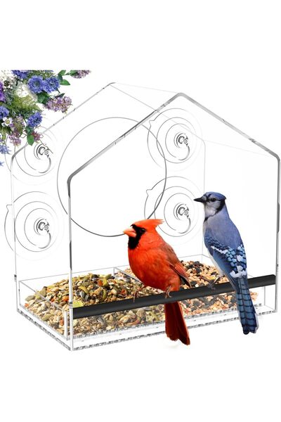 Arabest مغذي طيور يُعلق على النافذة مع 4 أكواب شفط قوية للغاية مقاس 2.36 بوصة...