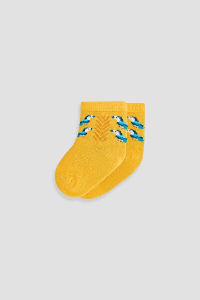 GB Baby Bg Store Baby Boy Beige Socks