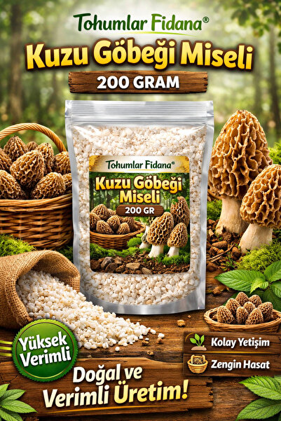 tohumlar fidana 200 gram kuzu göbeği mantarı tohumu