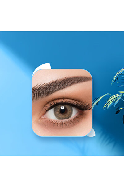 Afil Daily Lenses AGATE