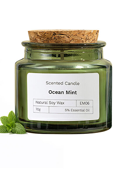 L&Wen شموع معطرة، شموع علاج عطري برائحة قوية تدوم طويلاً، 70 غرام (نعناع المحيط)