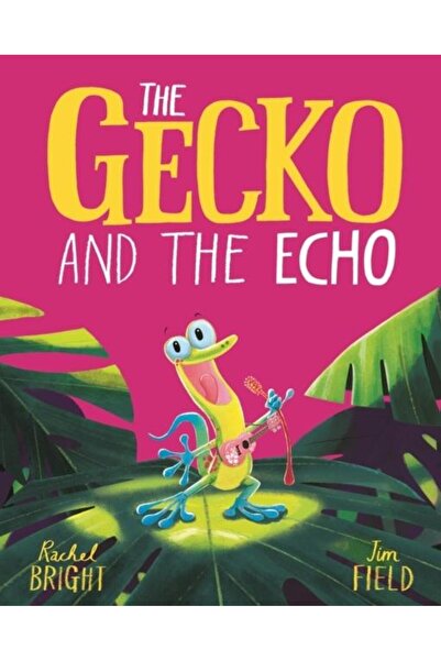 Hachette Children's Group The Gecko and the Echo, Rachel Bright