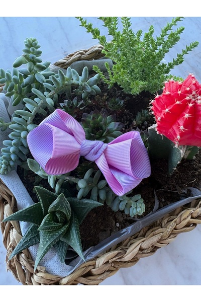 roseberry Prenses serisi Tasarım pembe&lila kız çocuk toka