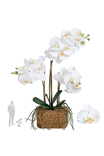 Roberto Rossi Orhidee artificială albă cu aspect H54 cm cu 3 tulpini