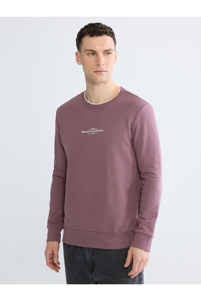 LC Waikiki Ανδρικό φούτερ LCWAIKIKI Classic Regular Fit Crew Neck με τύπωμα