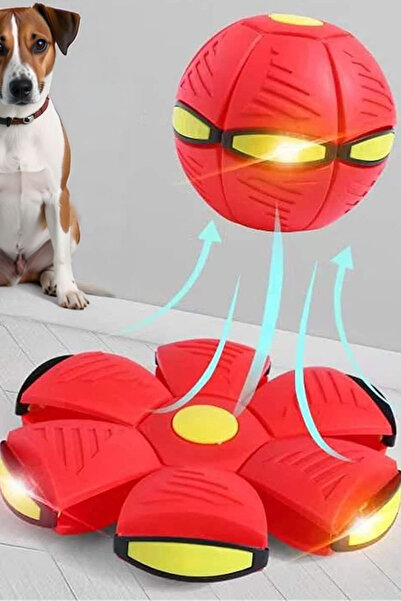 TechnoStation Işıklı Hem Top Hem Frizbi Evcil Hayvan Eğitici Eğlenceli Oyunca...