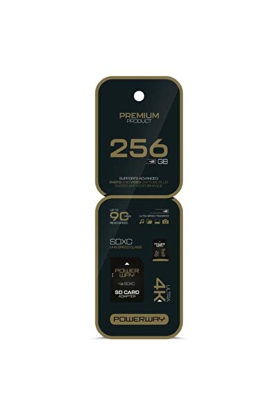 Epilons بطاقة ذاكرة Powerway سعة 256 جيجابايت بسرعة 90 ميجابايت/ثانية تدعم تق...