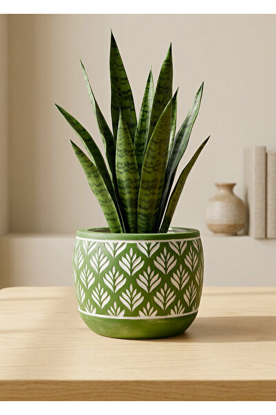 mora store Dekoratif Beton Saksı Yeşil Bohem İskandinav Tarz 13x12 cm | Moder...
