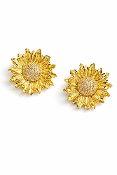 BALVORA VENTO Women's Steel Large Earrings