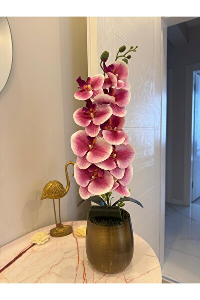 Acarya Design Eskitme Metal Saksıda Pembe Yapay Orkide Aranjmanı – Dekoratif ...
