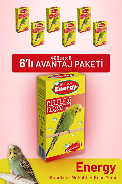 bird food energy Kabuksuz Muhabbet Kuşu Yemi 400 G - 6 Adet