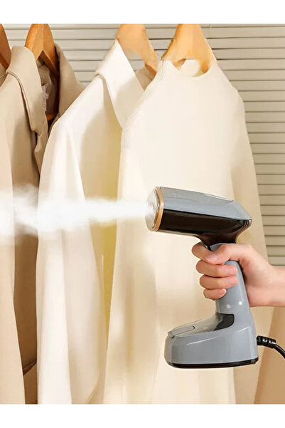 lutors Lotters handheld steam iron