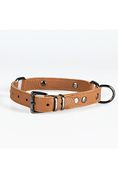 Petsuit Dog Leash Set 100% Leather - Airtag Case - Poop Bag Triple Set