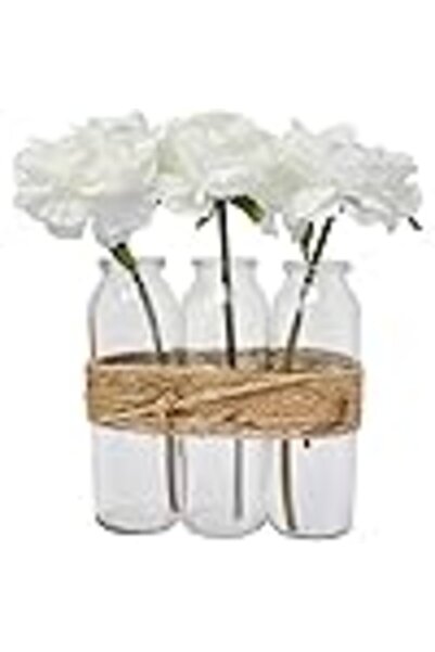 Generics Hogar-y-Mas Decorative Planters