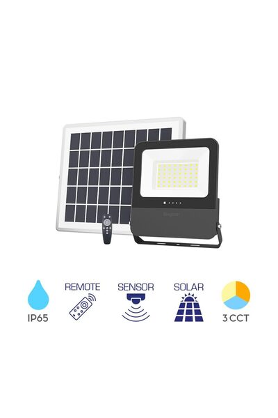 Braytron LED PL PROJECTOR, SOLAR+SENSOR+REMOTE CONTROL, P:100W, C:30W, 3IN1 IP65