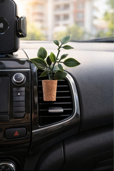 Alyora Dekoratif Mini Araç Oto Kokusu - El Yapımı Mantar Saksı Çiçek Klima Sü...