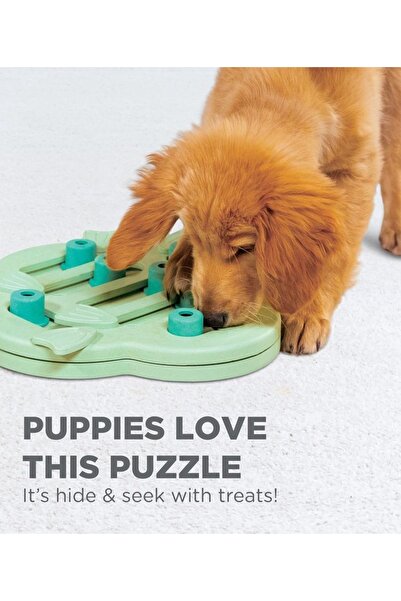 Barkie İzmir Outward Hound Puppy Hide N' Slide Interactive Treat Puzzle Köpek...