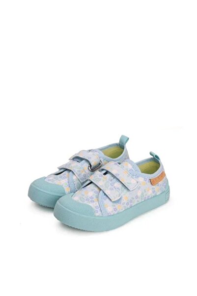 D.D.step TENESI PANZA DDSTEP