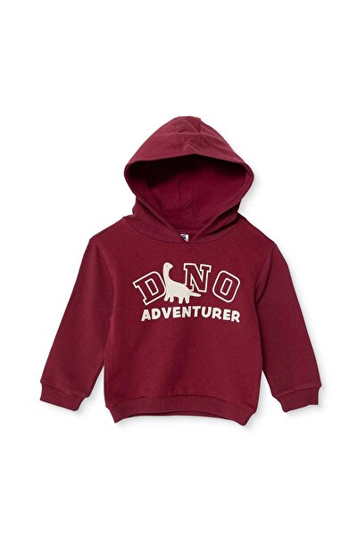 ebebek Hello Baby HelloBaby Erkek Bebek Kapüşonlu Sweatshirt Dinozor Baskılı ...