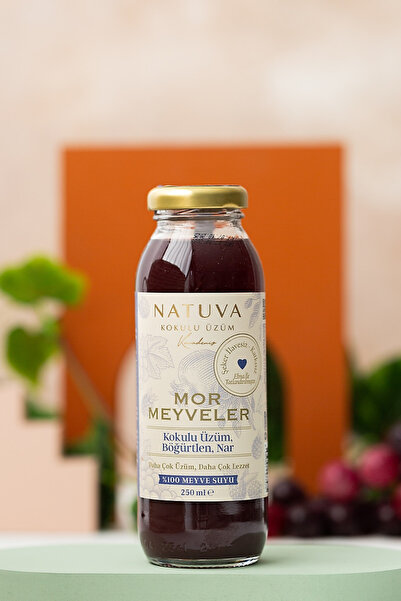 NATUVA 4'lü Mor Meyveler % 100 Meyve Suyu 250 ml ( Kokulu Üzüm, Böğürtlen, Nar )