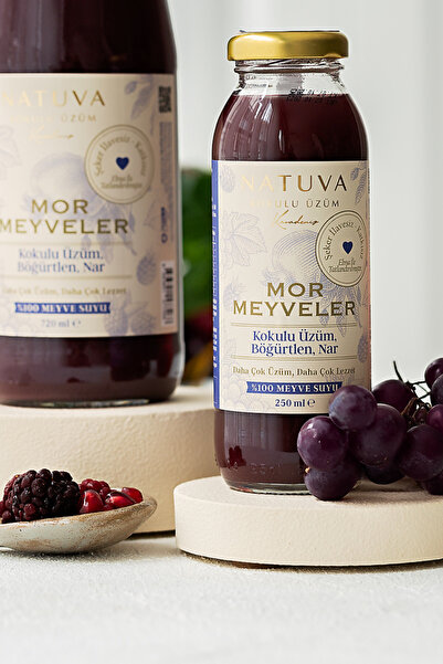 NATUVA 2'li Mor Meyveler % 100 Meyve Suyu 250 ml ( Kokulu Üzüm, Böğürtlen, Nar )