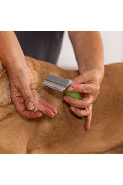 Wahl FURMINATOR PENTRU BLĂNĂ 2999-7195