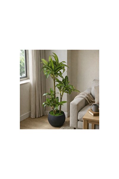 Vivense Yapay Masengena Ağacı, 3 Gövdeli, 160 Cm
