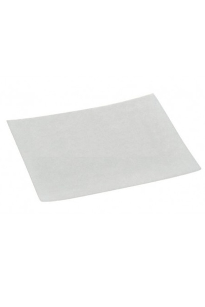 Philips PieseMag Filtru motor aspirator