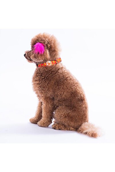 Pawstar Poodle Köpek Desenli Köpek Boyun Tasması Ayarlanabilir Köpek Tasması