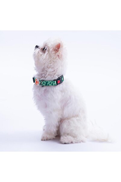 Pawstar Frog Kurbağa Desenli Köpek Boyun Tasması Ayarlanabilir Köpek Tasması