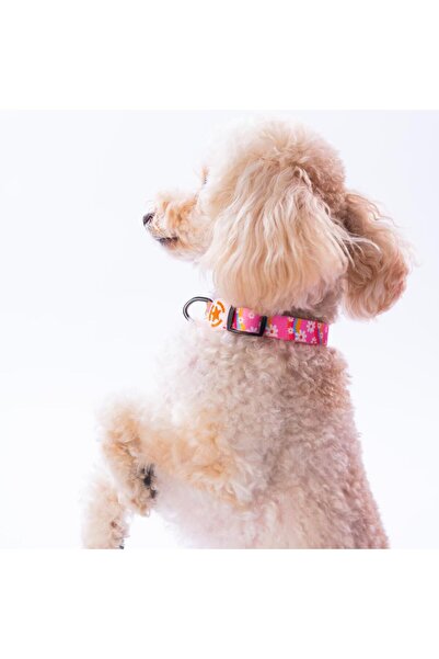 Pawstar Daisy Papatya Desenli Köpek Boyun Tasması Ayarlanabilir Köpek Tasması