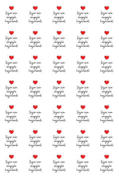 Bimotif 25li Hediye Poşeti Seti (25 Şeffaf Poşet 15x25 cm, 25 adet Klips, 35 adet Stickers)