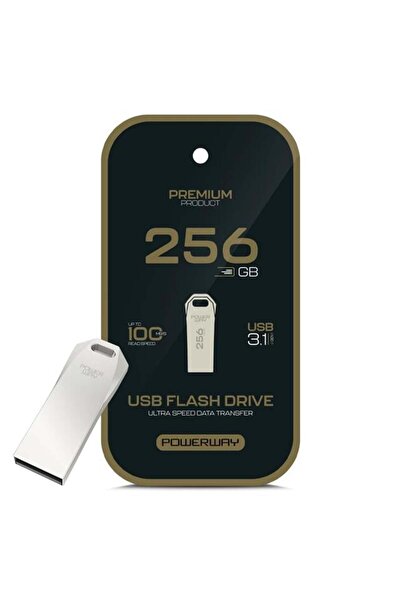 Epilons Powerway 256 Gb 100Mb/S Fast USB 3.1 Metal Silver Flash Memory
