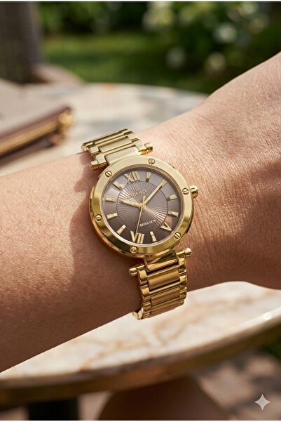 Essence 26mm Steel Case Gold Steel Band Dark Brown Dial Women's Wristwatch