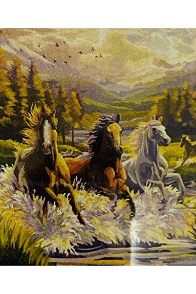 EleganTShoP 5D Yapışan Boncuk Mozaik Tablo 40*50 cm XQC87401