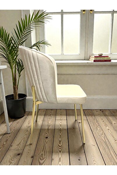 MSY HOME 4 Kişilik Berya Krem Renk Kumaş Modern Ve Şık Sandalye Takımı