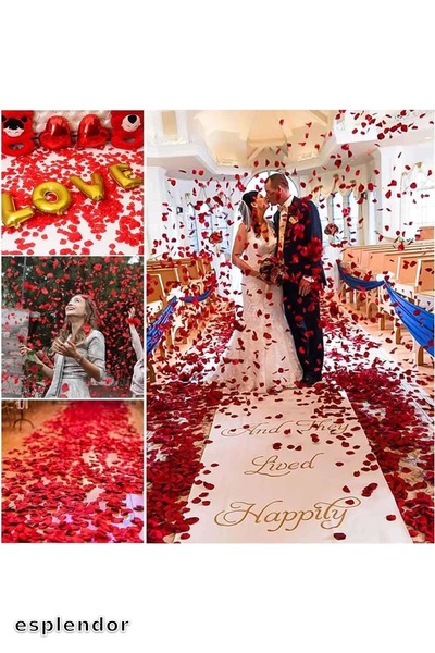 esplendor أوراق الورد الحمراء – 5 عبوات 500 قطعة