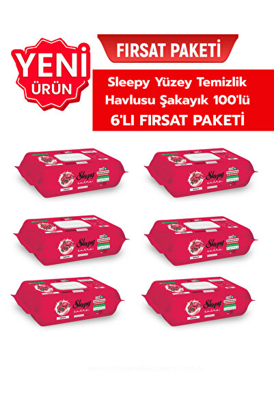 Sleepy Yüzey Temizlik Havlusu Şakayık 100'lü 6'lı Fırsat Paketi