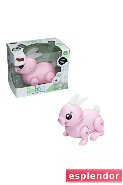 esplendor أرنب مع الموسيقى والضوء