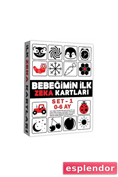 esplendor 2199 بطاقة تعليمية 0-6 أشهر بطاقات الذكاء