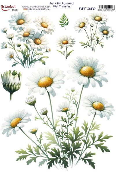 İstanbul Hobi Dark Background Water Transfer Paper 25X35Cm Kst-250 Daisy