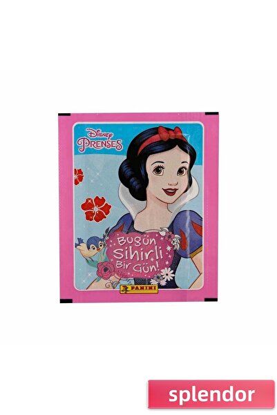 esplendor مجموعة بطاقات الملصقات التعليمية ذات طابع الأميرات