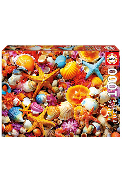 EDUCA Colaj 1000 Shell (80-20246)