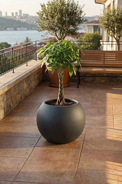 DEQQU Aura Sphere 40 x 35cm Fiber Küre Saksı - Mat - Büyük Saksı - Fiberglass