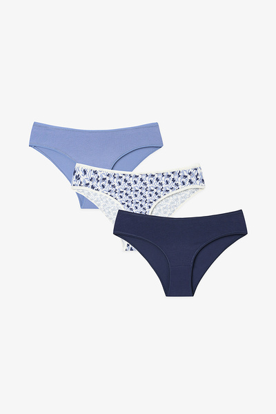 Penti Blue Autumn Leaf Patterned Low Waist 3-Pack Slip Panties