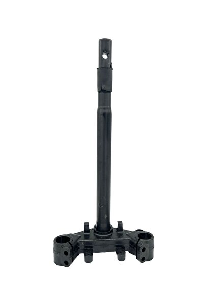 Mondial Tourismo 50 Ön Maşa