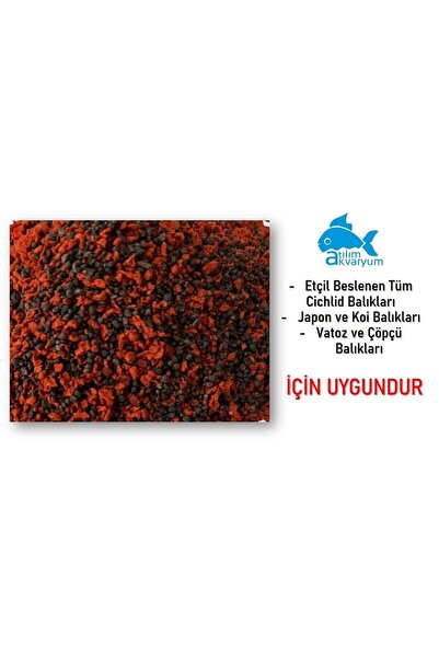 Atılım Akvaryum Ciklet Balığı Yemi, Yüksek Protein Oranlı Etçil Yem Özel Seri 100 Gram