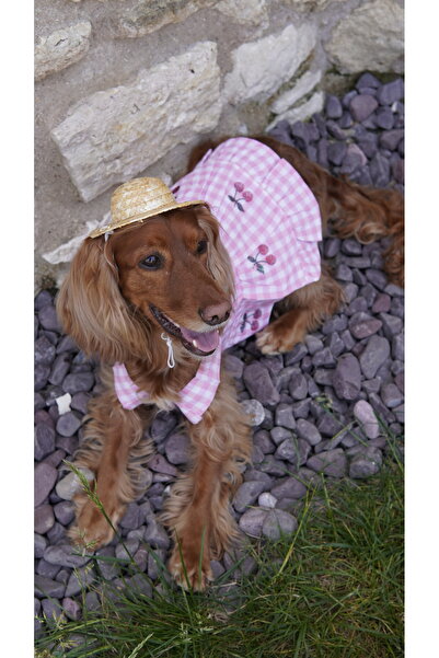 Küçük Irk Köpek Elbisesi Pembe Kareli Taşlı Kiraz Desenli(1-10KG)
